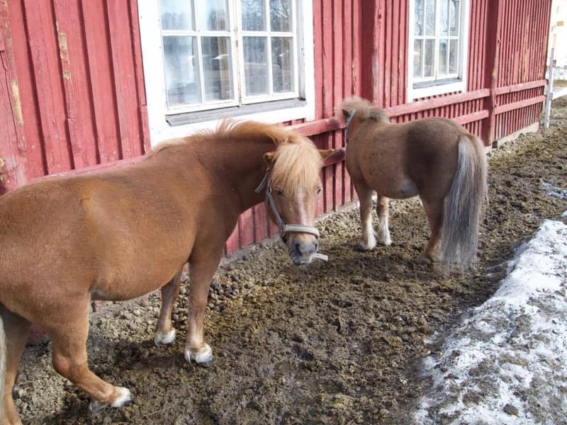 Easter Monday in Helsinki 2017