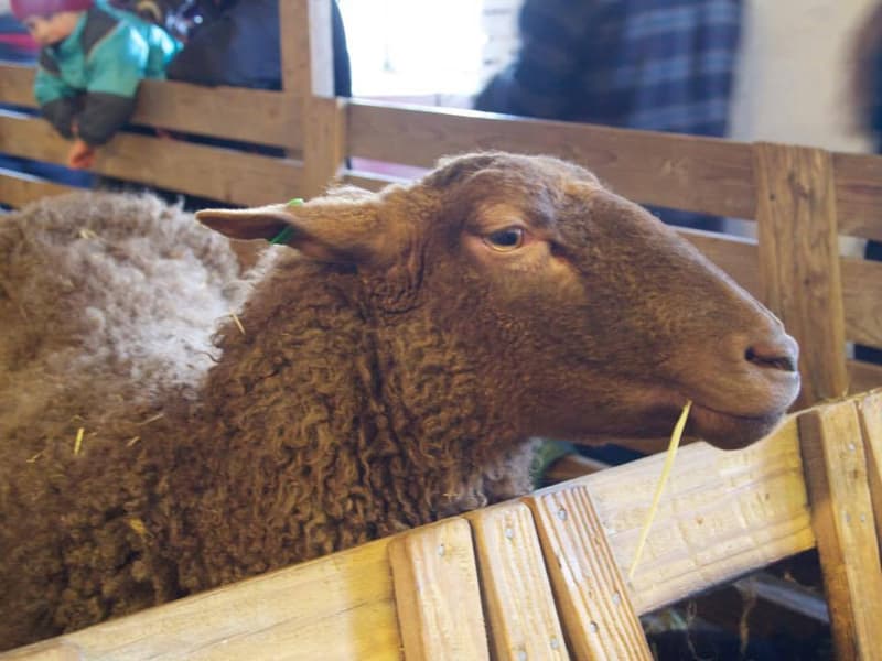 Minne tällä pääsiäisviikolla? 30.3.-6.4.2026