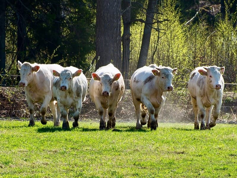 Minne tällä viikolla? 6.11.-.12.11.2017