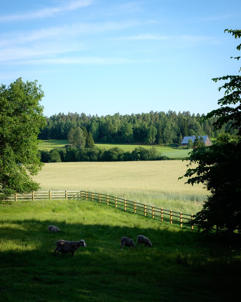Minne tällä viikolla? 27.8.-2.9.2018