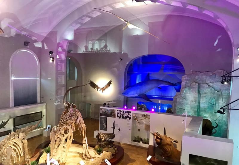 Luonnontieteellinen museo