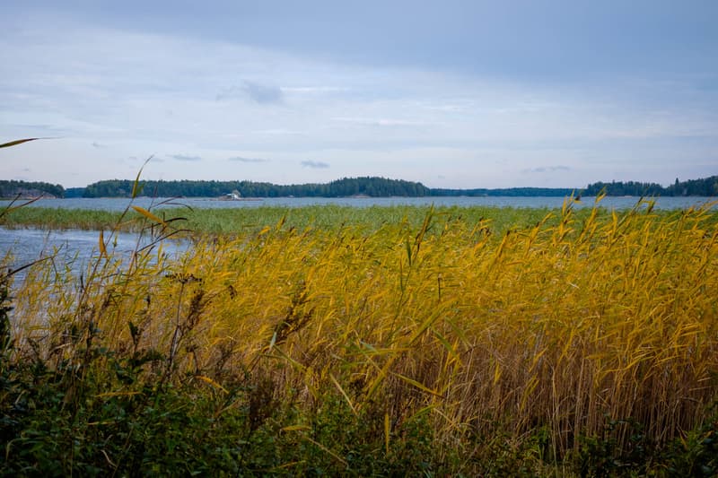 Minne tällä viikolla? 9.10.-15.10.2017