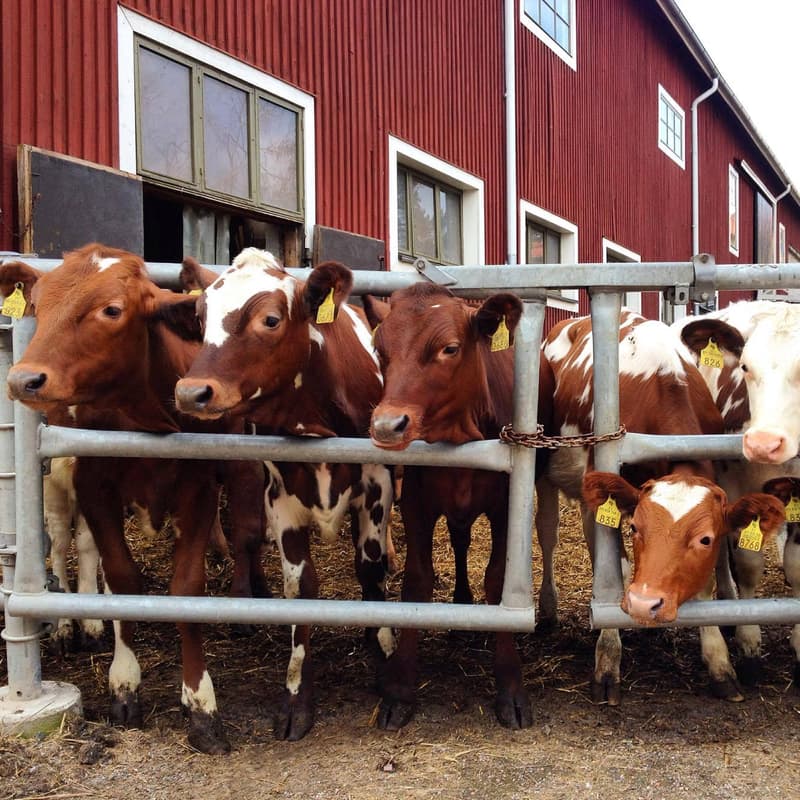 Minne tällä viikolla? 23.-29.9.2019