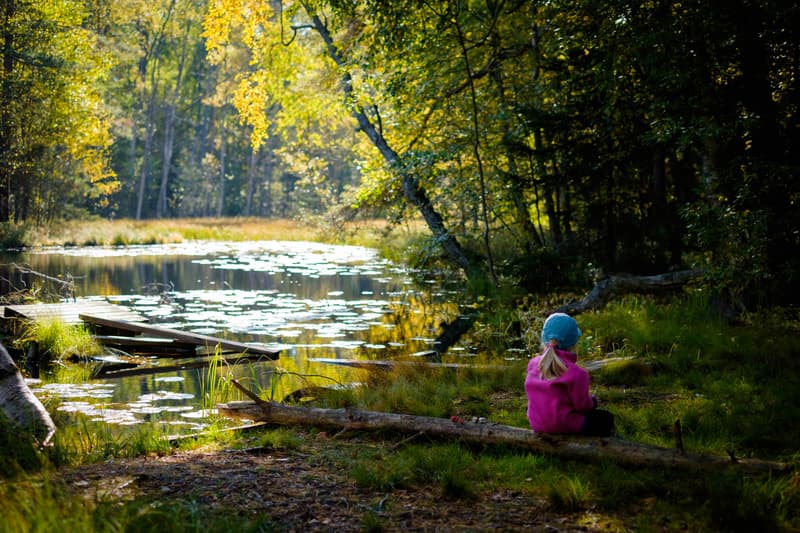 Syysloma Helsingissä 2019