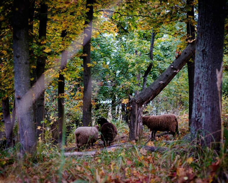 Minne tällä viikolla? 30.9.-6.10.2019