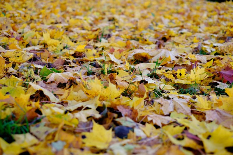 Minne tällä viikolla? 23.10.-29.10.2017