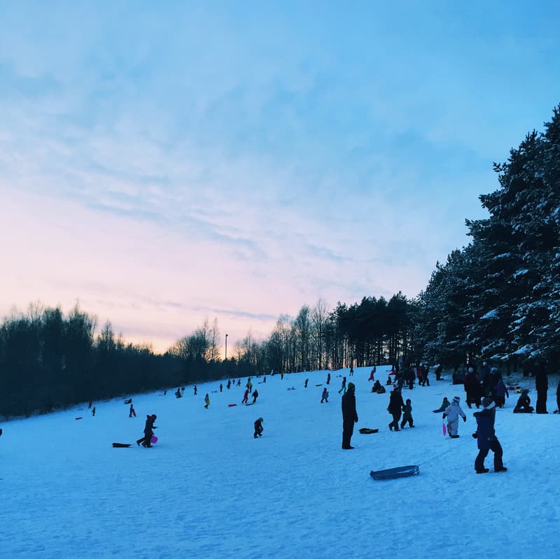 Minne tällä viikolla? 25.2.-3.3.2019