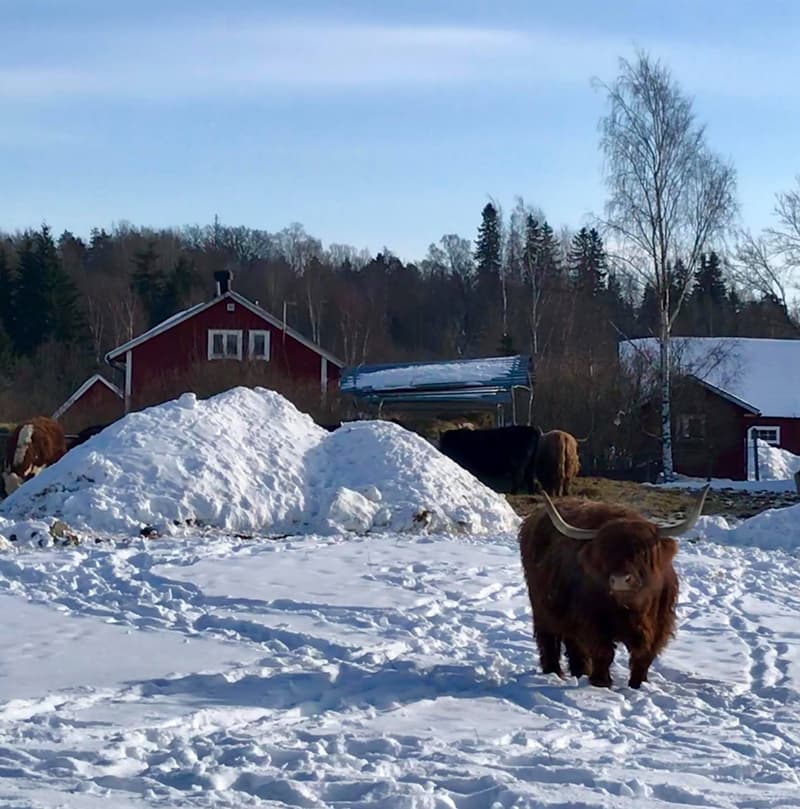 Minne tällä viikolla? 5.3.-11.3.2018