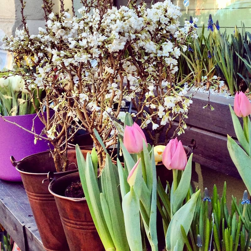 Minne tällä viikolla? 8.4.-14.4.2019