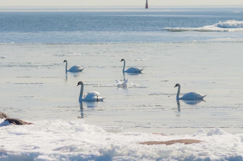 Minne tällä viikolla? 19.3.-25.3.2018