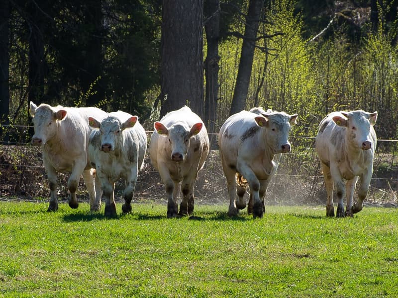 Minne tällä viikolla? 30.4.-6.5.2018