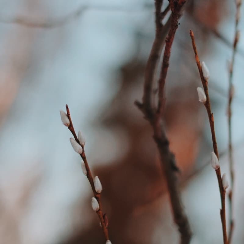 Pääsiäinen Helsingissä 2019