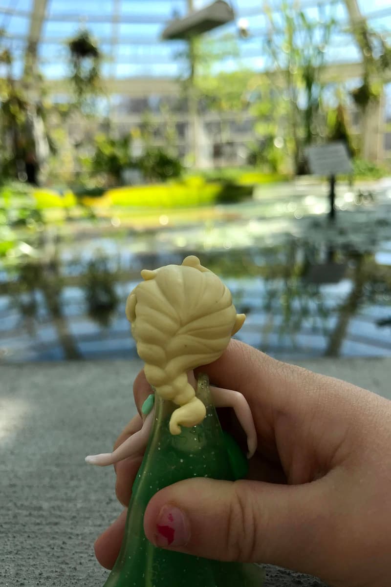 Even the princess was delighted by the giant water lilies.