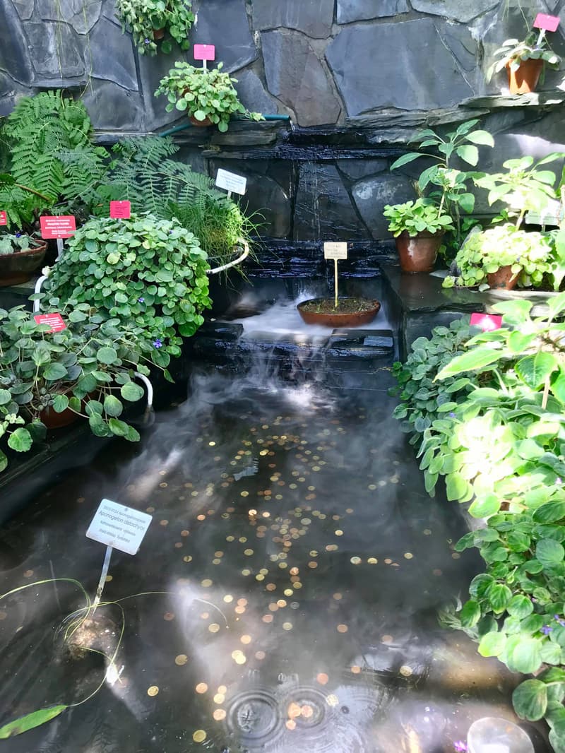 The wishing well at Kaisaniemi Botanical Garden.