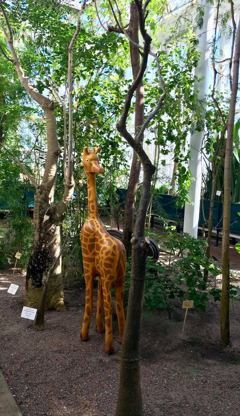 Minne tällä viikolla? 2.-8.11.2020