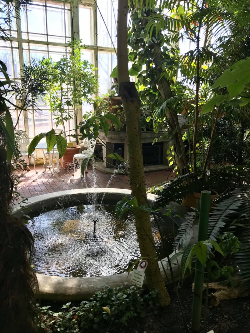 The fountain in the Palm House.