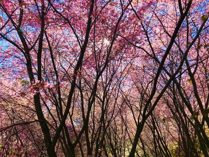 Minne tällä viikolla? 6.5.-12.5.2019