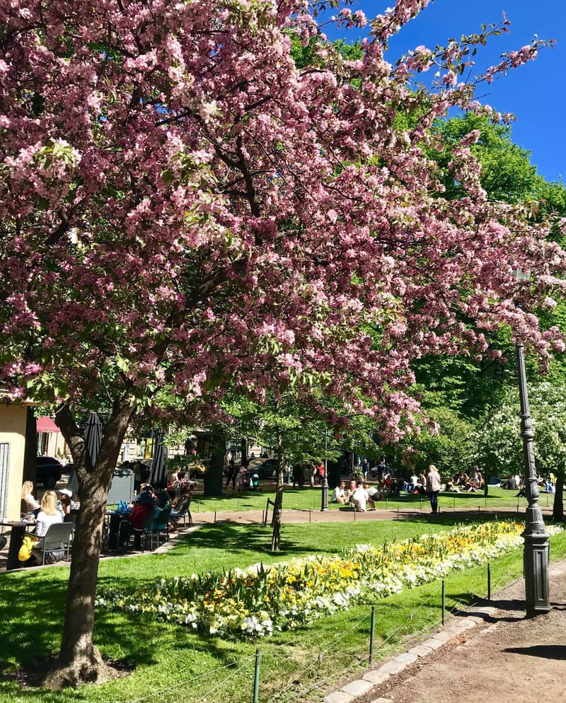 Minne tällä viikolla? 28.5.-3.6.2018