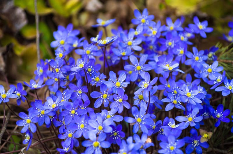 Minne tällä viikolla? 7.5.-13.5.2018