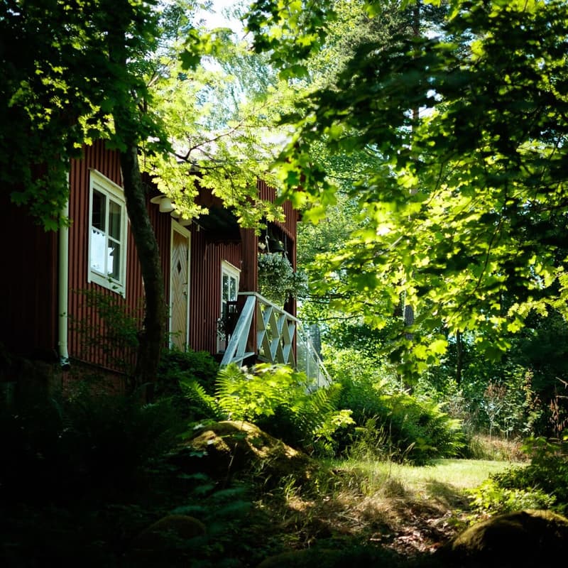 Helsingin saaret: Hellepäivä Mustasaaressa