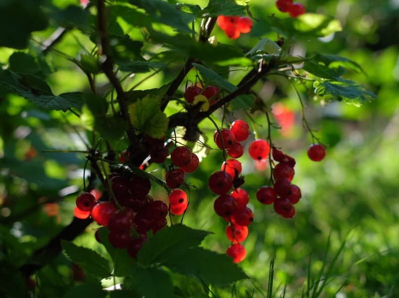Minne tällä viikolla? 16.7.-22.7.2018