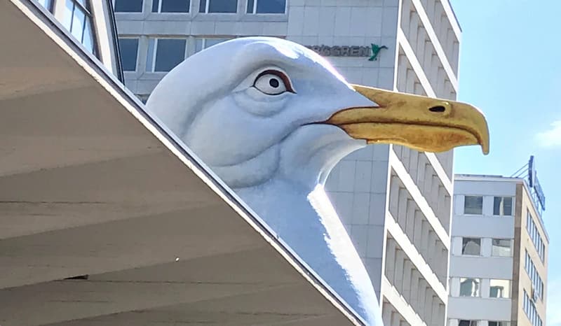 Minne tällä viikolla? 6.8.-12.8.2018