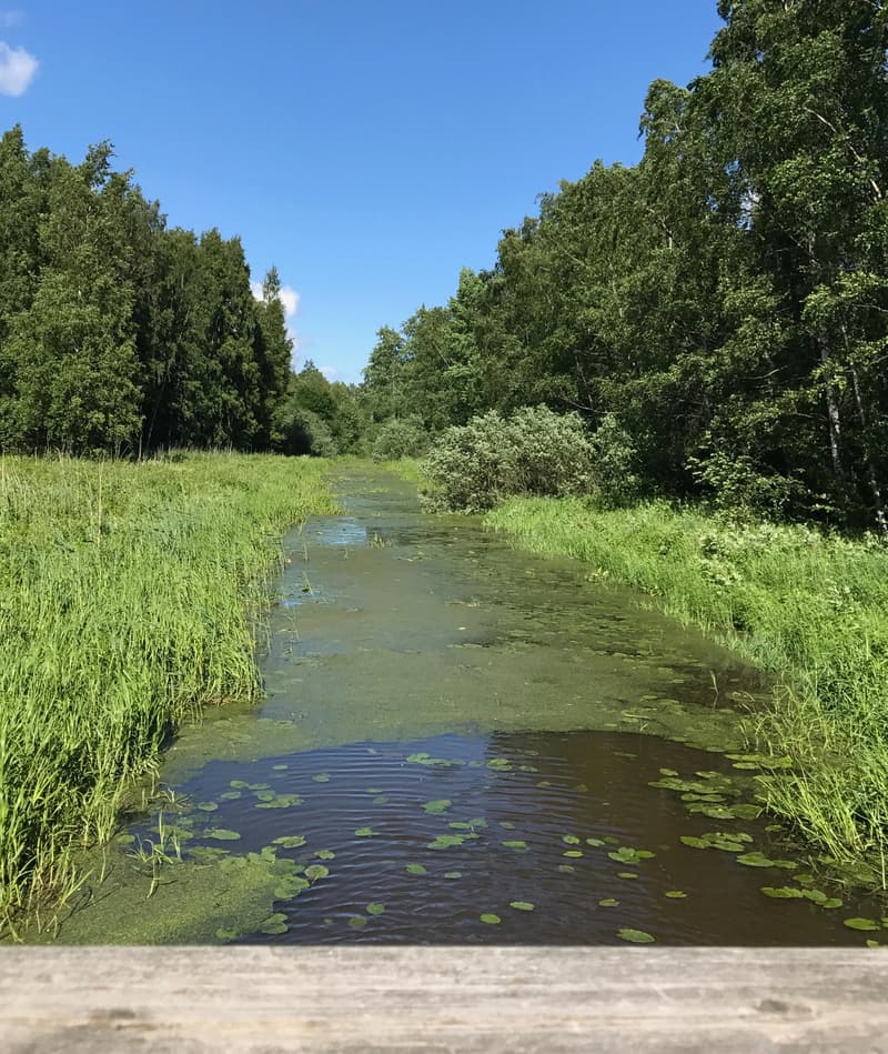 Pornaistenniemi is a wonderful nature destination.