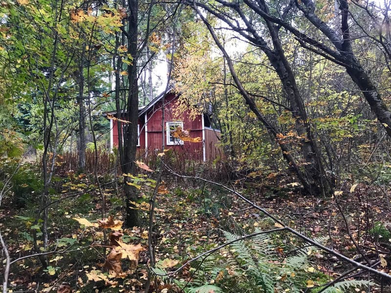 The beauty of Kuusiluoto in autumn 2017. 