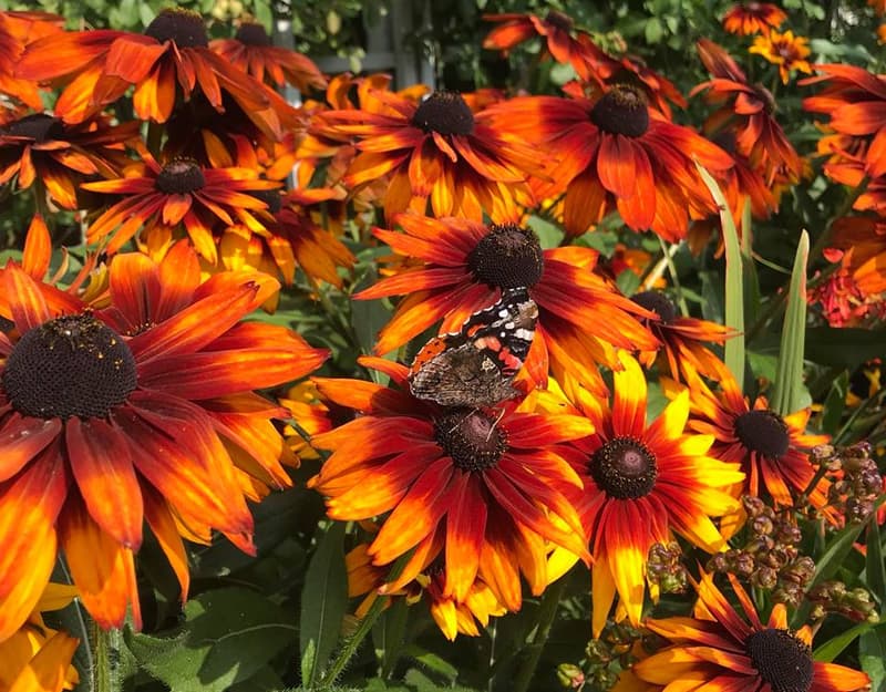 Minne tällä viikolla? 3.9.-9.9.2018