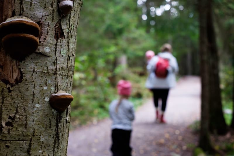 Syysloma Helsingissä 2020