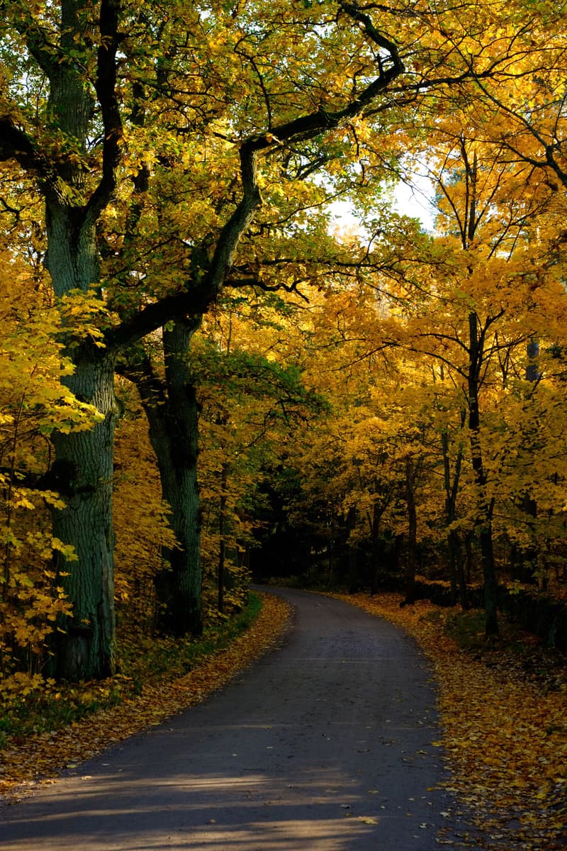 Minne tällä viikolla? 7.-13.10.2019