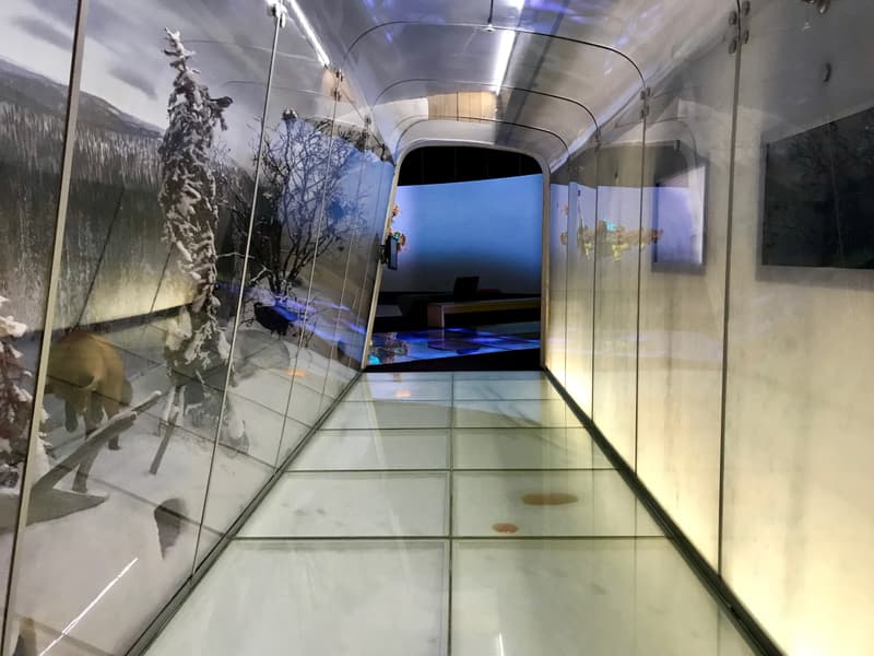 Nature Center Haltia in Nuuksio showcases Finnish nature.