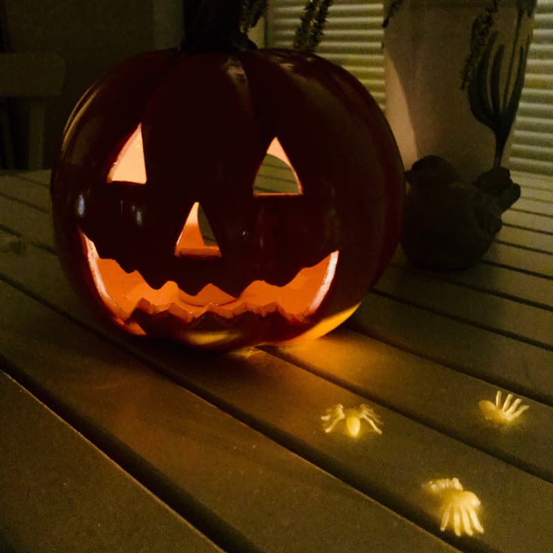 Minne tällä viikolla? 28.-3.11.2019