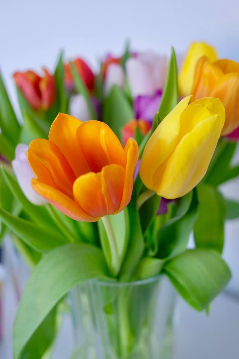 Minne tällä viikolla? 11.3.-17.3.2019