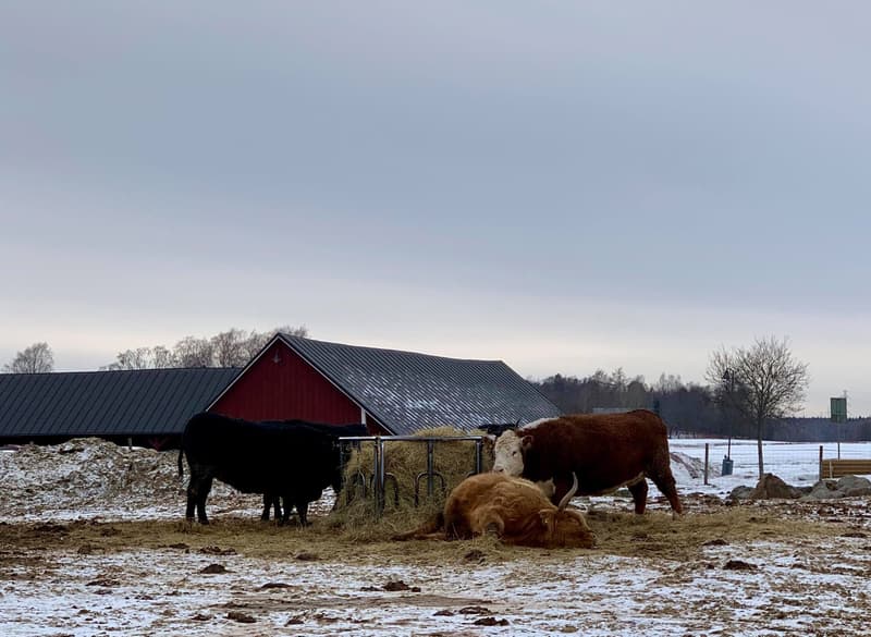 Minne tällä viikolla? 4.3.-10.3.2019