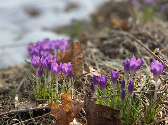 Minne tällä viikolla? 1.4.-7.4.2019