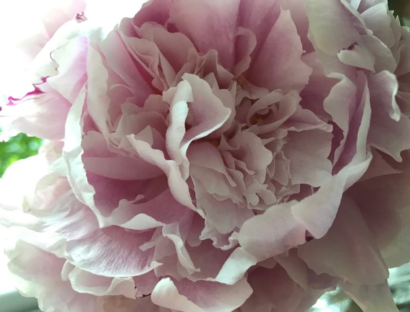 Minne tällä viikolla? 27.5.-2.6.2019