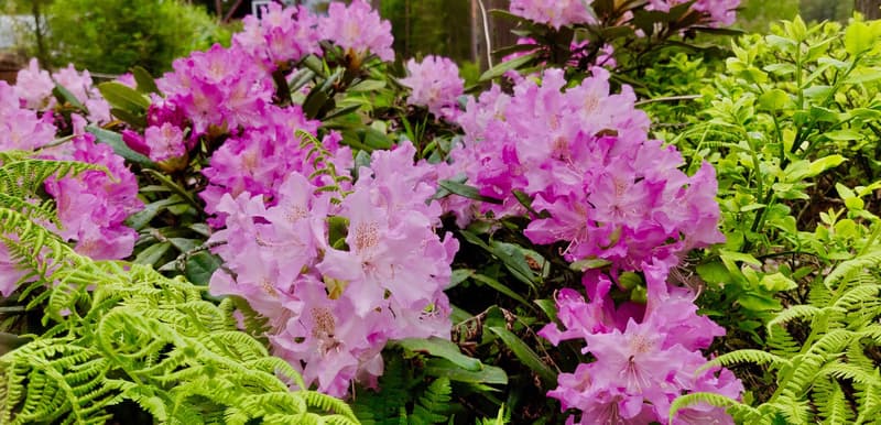 Minne tällä kesäviikolla? 3.6.-9.6.2019