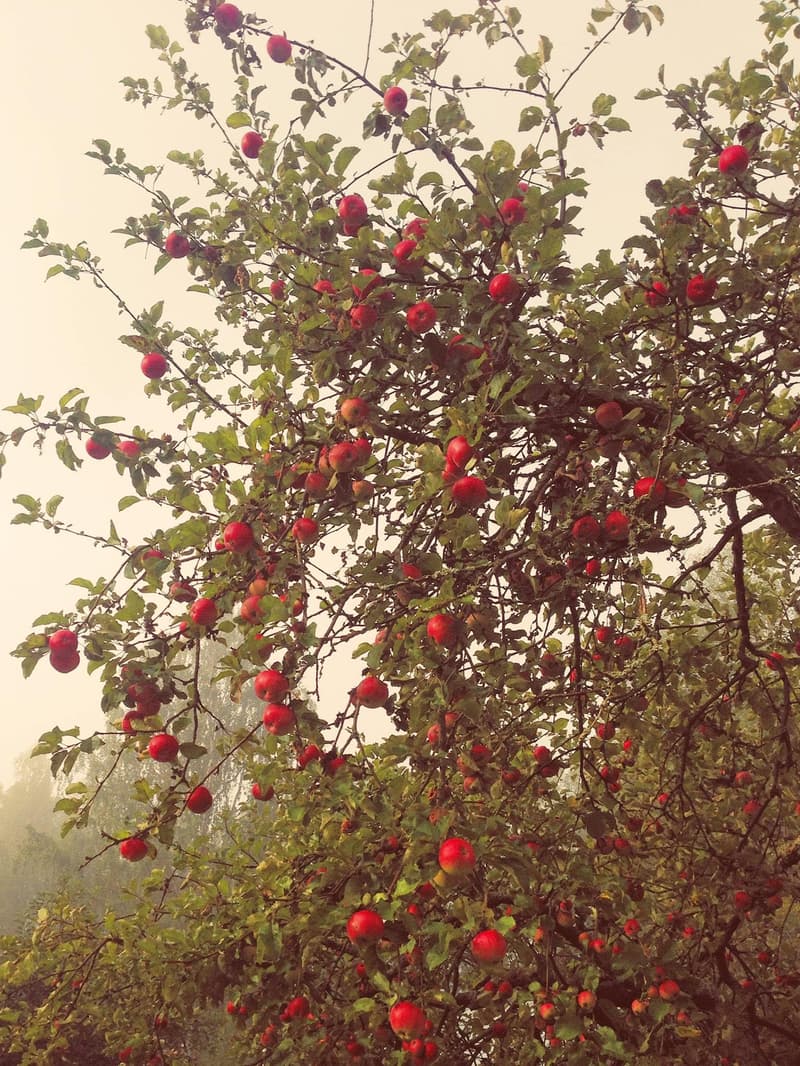 Minne tällä viikolla? 2.-8.9.2019