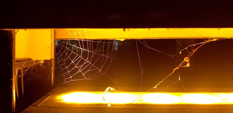 Halloween-ajan tapahtumia