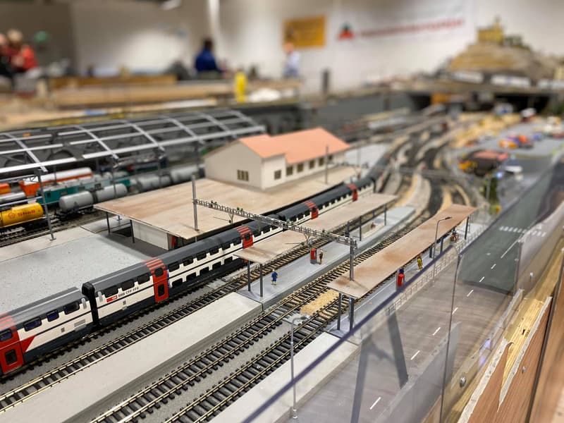 Where to go this week? Feb 24 – Mar 1, 2020