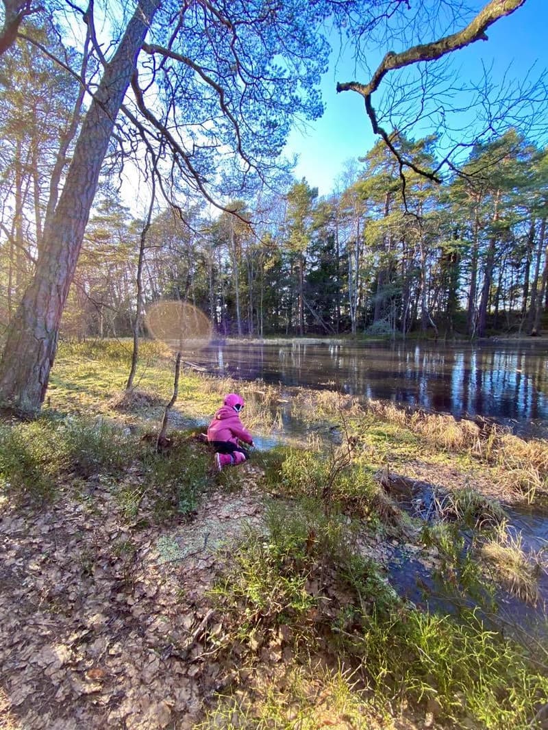 Where to go this week? March 2-8, 2020