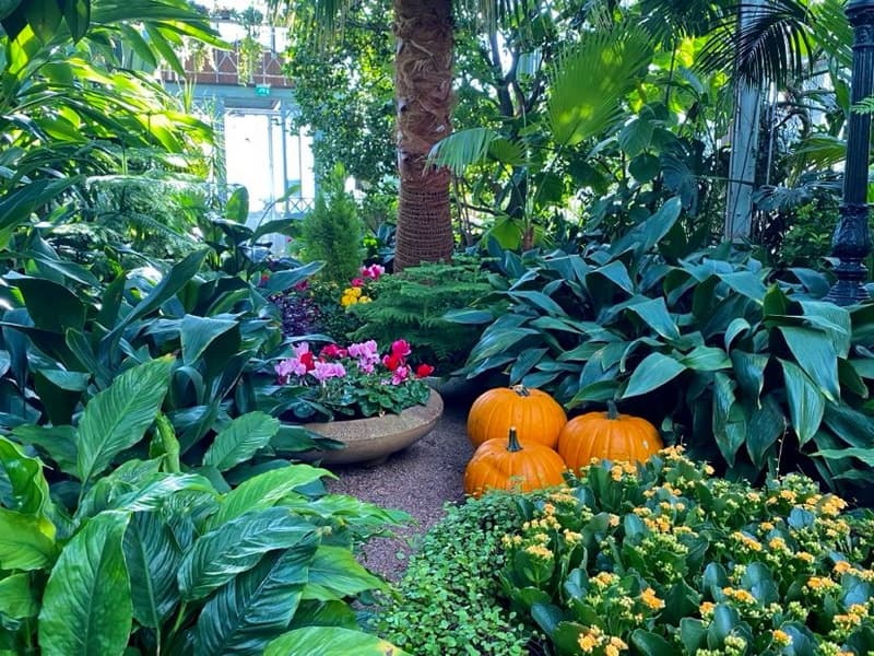 Where to go this week? September 14-20, 2020