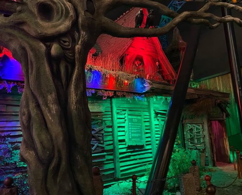 Where to go this week? 25.-31.10.2021