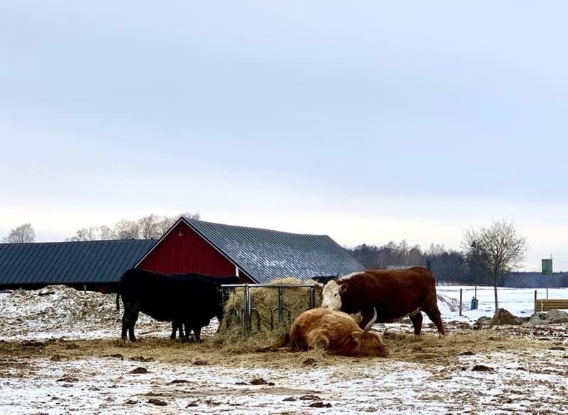 Where to Go This Week? January 30 – February 5, 2023