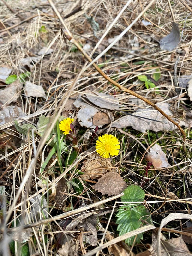 Where to go this week? 3-10.4.2023