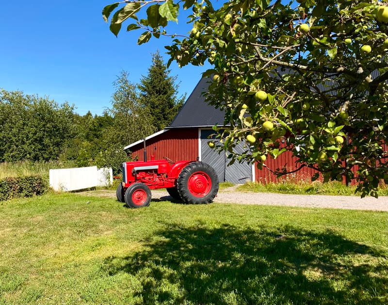 Where to go this week? August 1-7, 2022