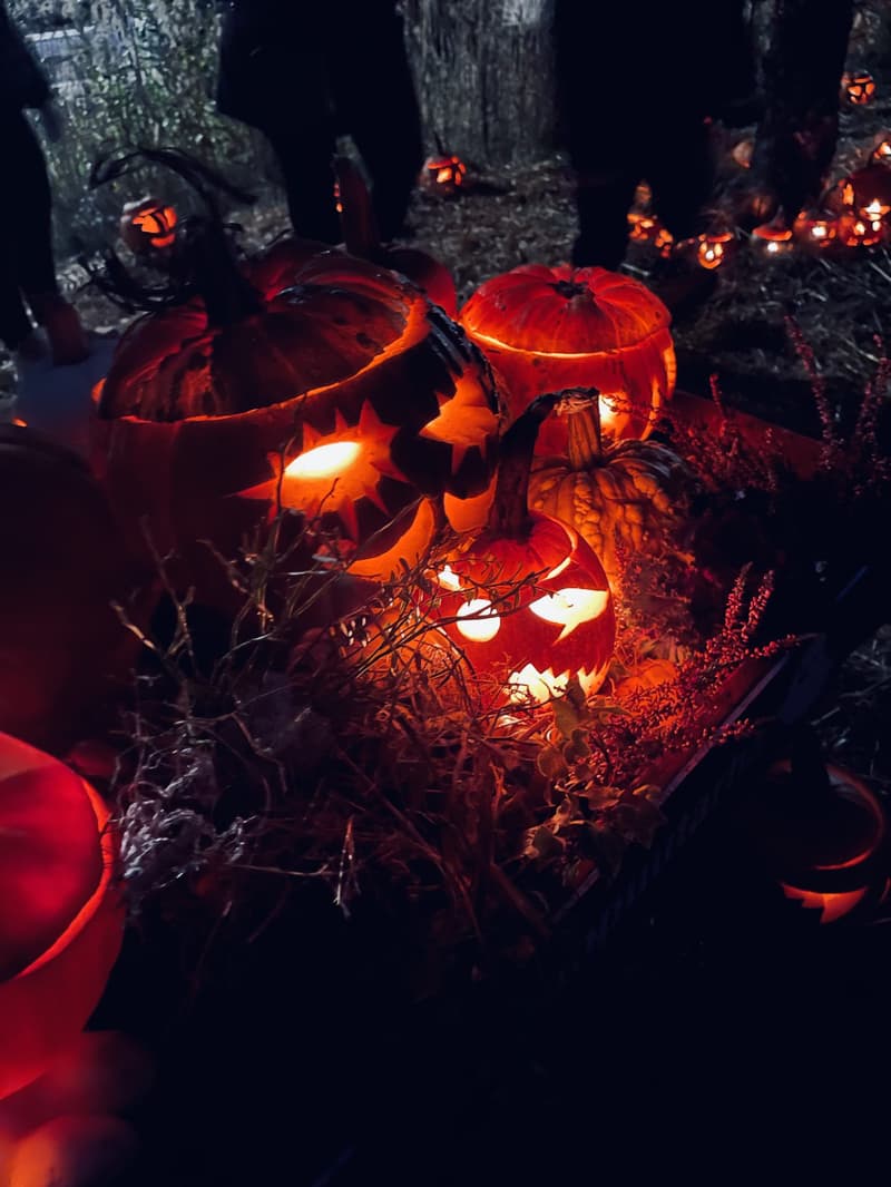 Where to Go on All Saints' Weekend? 1.-3.11.2024