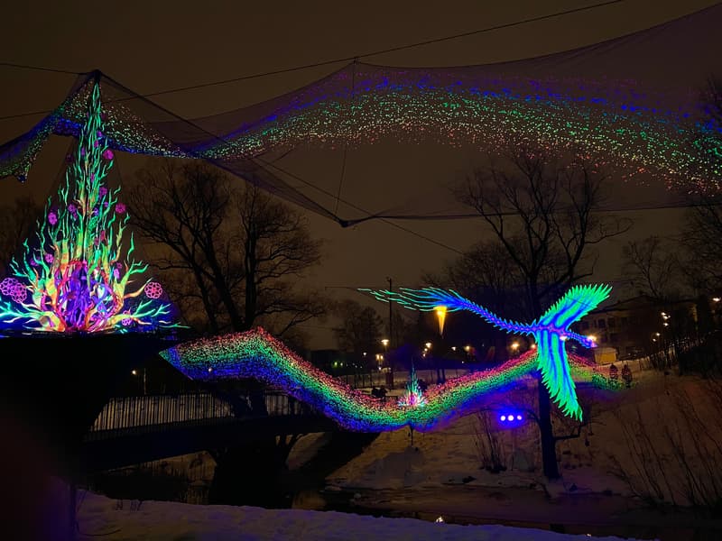 Where to Go This Week? From Christmas to Epiphany