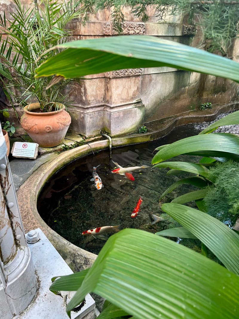 Free Activities for Kids in Helsinki